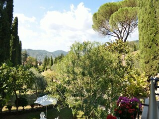 Holiday house Uzzano Environment 34