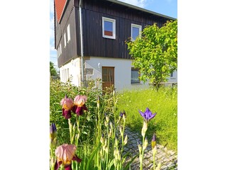 Ferienwohnung Waltersdorf Außenaufnahme 4