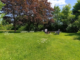 Ferienwohnung Waltersdorf Außenaufnahme 7