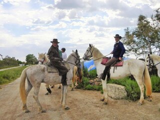 Maison de vacances Welt Environnement 10