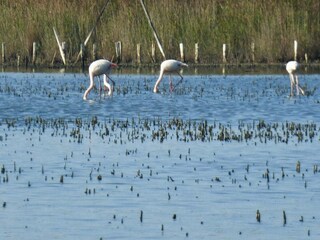 Casa per le vacanze Welt  14