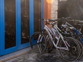 Villa Labin Außenaufnahme 22