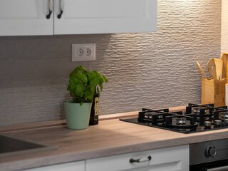 Ferienhaus Višnjan Ausstattung 18