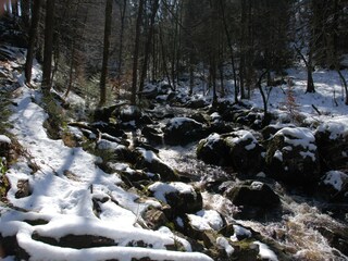 Villa Spa Ambiente 36