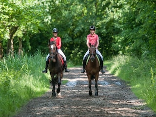 Villa Spa Ambiente 28