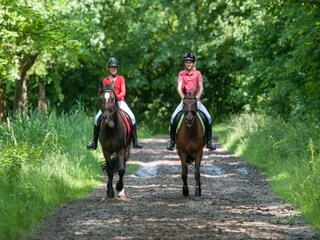 Villa Spa Omgeving 27