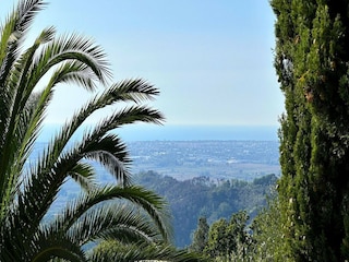 Cottage Massarosa Außenaufnahme 13