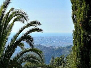 Holiday cottage Massarosa Outdoor Recording 13