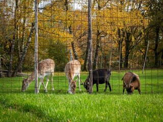 Apartment Heerlen Umgebung 26