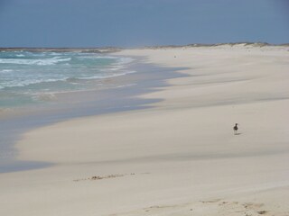 Appartamento per vacanze Vila do Maio Ambiente 13