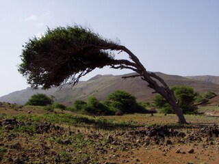 Appartamento per vacanze Vila do Maio Ambiente 14