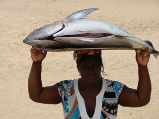 Appartamento per vacanze Vila do Maio Ambiente 19