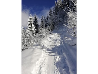 Apartment Zell am Ziller Umgebung 34