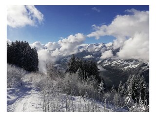 Apartment Zell am Ziller Umgebung 35