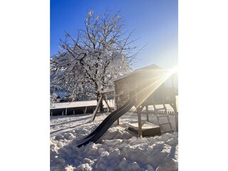 Apartment Zell am Ziller Environment 36