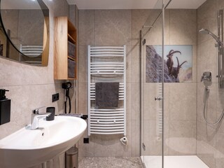 Apartment Zell am Ziller Features 19