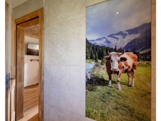 Apartment Zell am Ziller Features 27