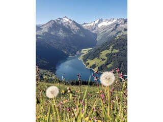 Apartment Zell am Ziller Document 43