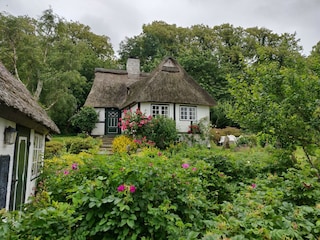 Wunderschönes Sieseby an der Schlei