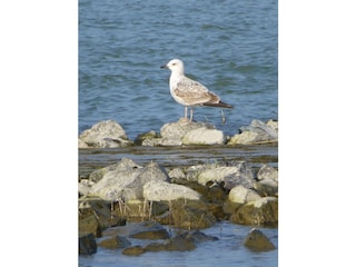 Holiday apartment Wesel Environment 34