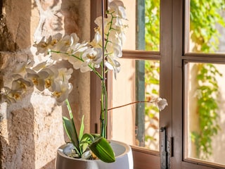 Villa Pollensa Features 36