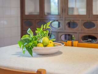 Villa Pollensa Kenmerken 52