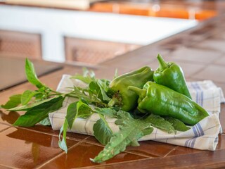 Villa Pollensa Caratteristiche 55