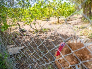 Appartement Sant Llorenc des Cardassar  42
