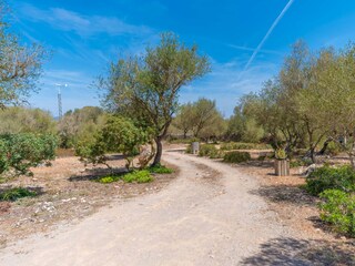 Villa Campos Grabación al aire libre 16