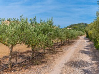 Chalet Cala Bona Registrazione all'aperto 20