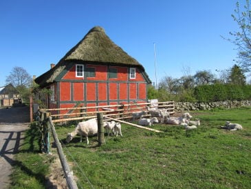 Ferienwohnung Hansen 2