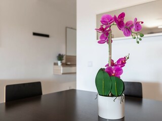 Apartamento San Pedro de Alcantara Características 12