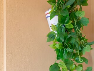 Apartamento San Pedro de Alcantara Grabación al aire libre 7