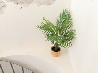 Apartamento Torremolinos Características 36