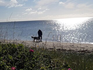 Maison de vacances Odder  8