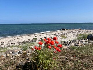 Vakantiehuis Otterup  16