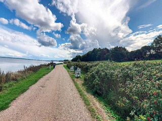 Ferienhaus Eskov Strandpark  16
