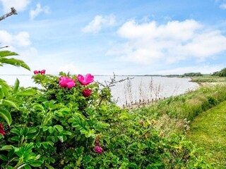 Casa per le vacanze Eskov Strandpark  18