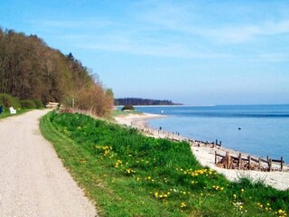 Vakantiehuis Eskov Strandpark  6