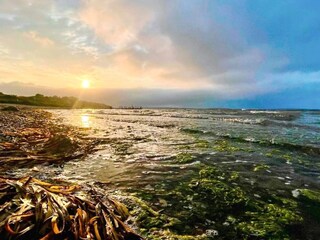 Ferienhaus Eskov Strandpark  9