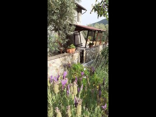 Cottage Buti Außenaufnahme 8