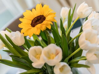 Appartamento Venedig Caratteristiche 29