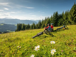 Ferienwohnung Eben im Pongau Umgebung 29