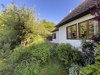 Hinterer Garten mit Terrasse