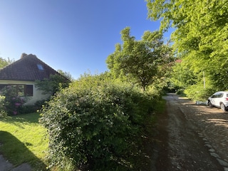 Blick auf den Weg