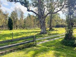 Maison de vacances Tingsryd Enregistrement extérieur 4