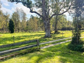 Ferienhaus Tingsryd Außenaufnahme 5