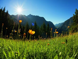 Apartment Oetz Umgebung 33