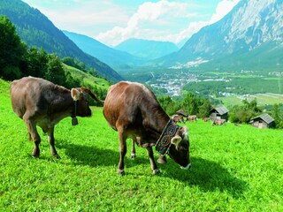 Appartement Oetz Omgeving 29