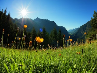 Apartment Oetz Umgebung 30